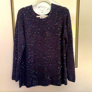 Maggie Sweet Knit Sequin Pullover Sweater